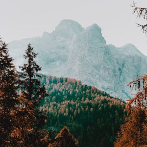 Forest Nature - A picturesque mountain landscape featuring autum #19779585